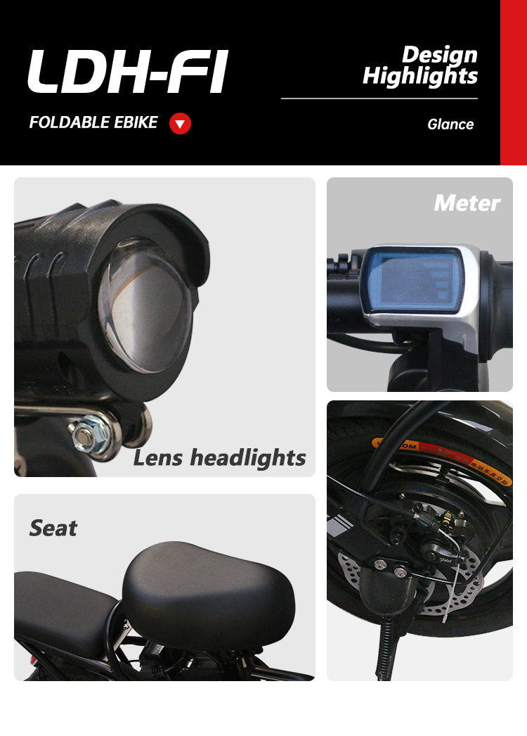 LDH-F1 14inch 250W 25km/H Speed Best Selling China Ebike Factory
