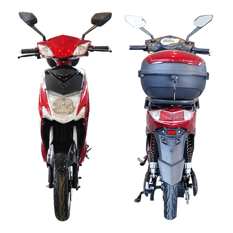 A209 10inch 600/800W 45km/H Speed Import Electric Scooters From China