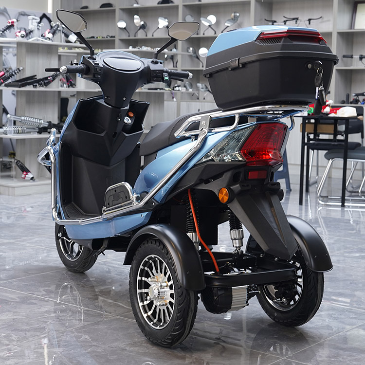 T101 10inch 500/650/800W 30km/H Speed China Supplier Electric Tricycle