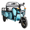 TH0101 500W 30km/H Speed 3 Wheel Electric Cargo Tricycle for Sale