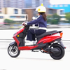 A090 10/12inch 2 Wheel Electric Motorbike 600/800W 50km/H Speed Electric Motorcycle Supplier