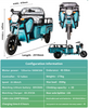 TH0101 500W 30km/H Speed 3 Wheel Electric Cargo Tricycle for Sale