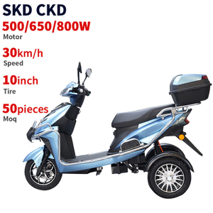 T101 10inch 500/650/800W 30km/H Speed China Supplier Electric Tricycle