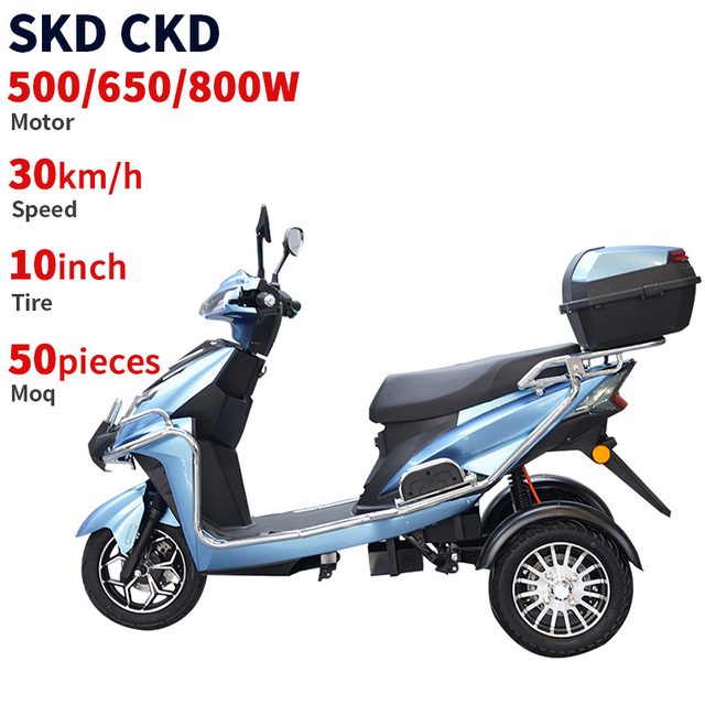 T101 10inch 500/650/800W 30km/H Speed China Supplier Electric Tricycle
