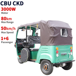 TR0102 3000W 50km/H Speed 80km Range Customizable Electric Tricycle