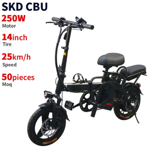 LDH-F1 14inch 250W 25km/H Speed Best Selling China Ebike Factory