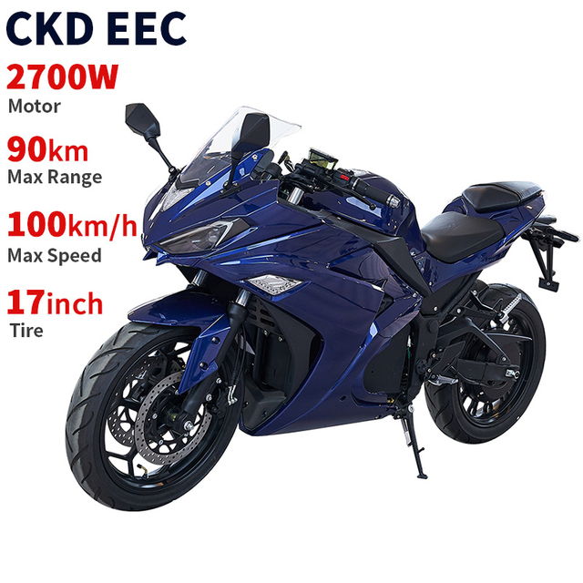 C010D4 17inch Custom Logo Electric Motorcycle 2700W 100km/H Speed Road Legal Electric Motorbike