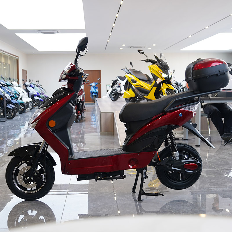 A209 10inch 600/800W 45km/H Speed Import Electric Scooters From China