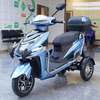T101 10inch 500/650/800W 30km/H Speed China Supplier Electric Tricycle