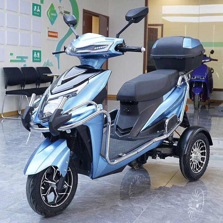 T101 10inch 500/650/800W 30km/H Speed China Supplier Electric Tricycle