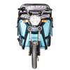 TH0101 500W 30km/H Speed 3 Wheel Electric Cargo Tricycle for Sale