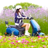 A120 12inch Electric Scooter Supplier 700/900W 55km/H Speed Electric Motorcycle Chinese Manufacturer