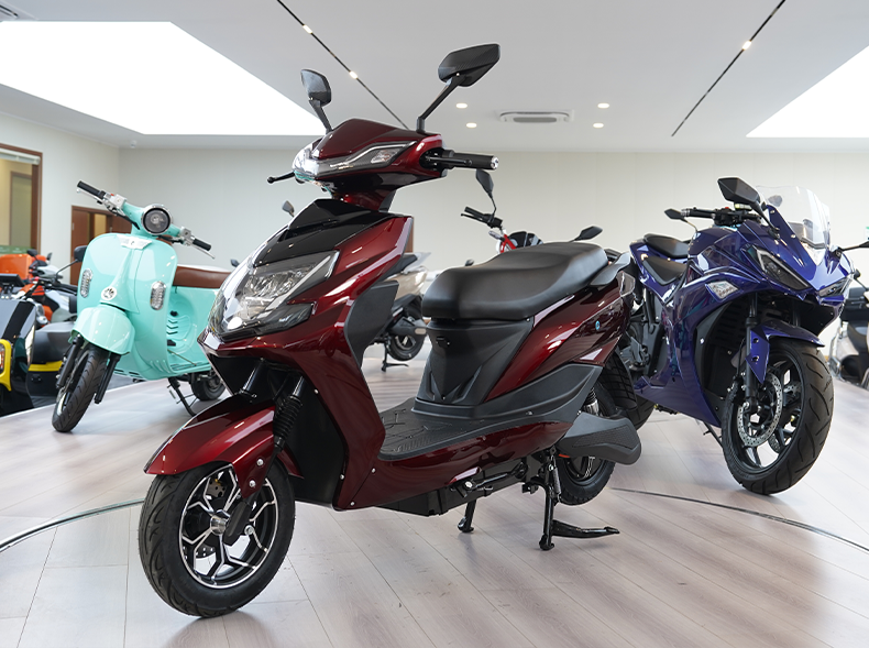 A026 10inch 600/800W 50km/H Speed Electric Motorcycle Sport Electric Motorbike Factory