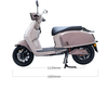 A048 12inch 1100/1300W 65km/H Speed Professional Manufacturer Electric Motorcycle